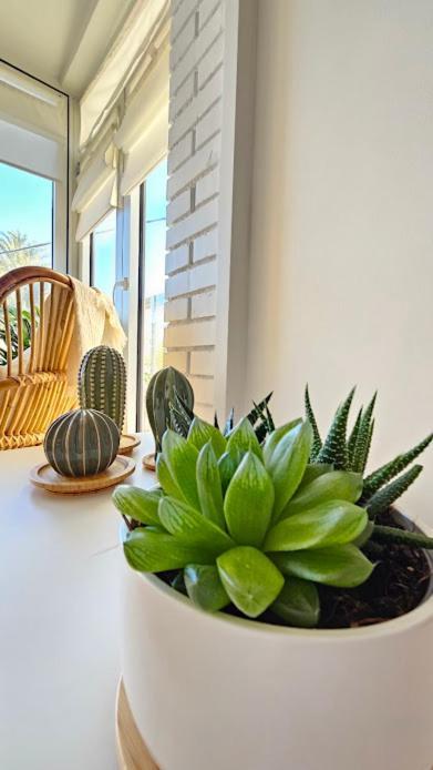 Boho Arenal Bol Con Parking Daire Calp Dış mekan fotoğraf